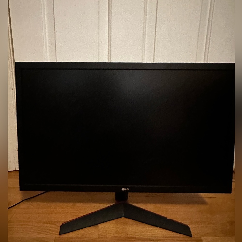 1080p LG gaming monitor.